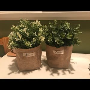 Meet your Posher, Judy